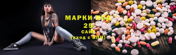 стафф Вяземский