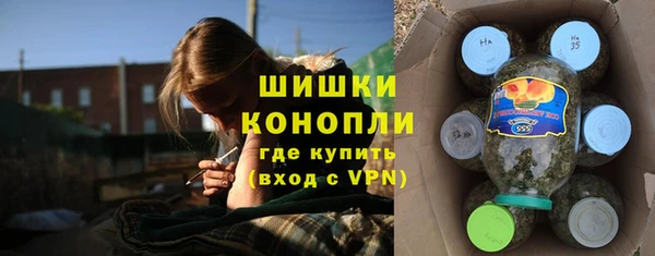 стафф Вяземский