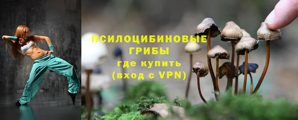СК Вязьма