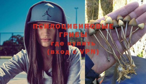 стафф Вяземский