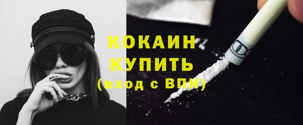 СК Вязьма
