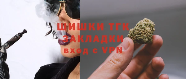 СК Вязьма