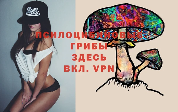 стафф Вяземский
